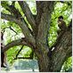 What Love May Bring : photo Audrey Dana, Claude Lelouch, Jacky Ido