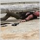 The Walking Dead : photo Michael Rooker