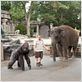 Der Zoowärter : photo Frank Coraci, Kevin James