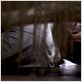 Sleep Tight : photo Jaume Balagueró, Luis Tosar
