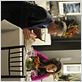 Fairly Legal : photo Mark Moses, Sarah Shahi, Virginia Williams