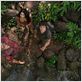 Die Reise zur geheimnisvollen Insel : photo Brad Peyton, Josh Hutcherson, Luis Guzman, Vanessa Hudgens