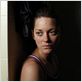 Rust and Bone : photo