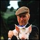 Schweinchen Babe in der großen Stadt : photo George Miller, James Cromwell