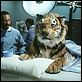 Dr. Dolittle : photo Betty Thomas, Eddie Murphy