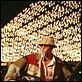 Fear and Loathing in Las Vegas : photo Johnny Depp, Terry Gilliam