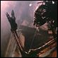 Species II : photo Michael Madsen, Peter Medak