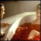 American Beauty : photo Kevin Spacey, Mena Suvari, Sam Mendes