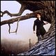 Sleepy Hollow