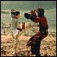 Tiger & Dragon : photo Ang Lee