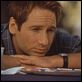 Evolution : photo David Duchovny, Ivan Reitman