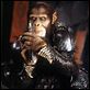 Planet der Affen : photo Tim Burton, Tim Roth