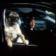 Men in Black II : photo Will Smith