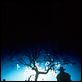 Jeepers Creepers