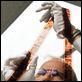 One hour photo : photo Robin Williams