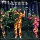 Ali G Indahouse : photo Mark Mylod, Sacha Baron Cohen