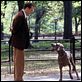 Manhattan Love Story