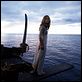 Fluch der Karibik : photo Gore Verbinski, Keira Knightley