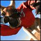Kangaroo Jack