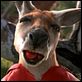 Kangaroo Jack