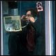 Nicht auflegen! : photo Colin Farrell