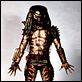 Predator