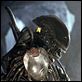 Alien vs. Predator : photo Paul W.S. Anderson