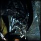Alien vs. Predator : photo Paul W.S. Anderson