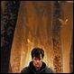The Woodsman : photo Kevin Bacon, Nicole Kassell