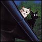 Kiki´s kleiner Lieferservice : photo Hayao Miyazaki