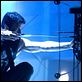 The Punisher : photo Thomas Jane