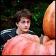 Harry Potter und der Gefangene von Askaban : photo Alfonso Cuarón, Daniel Radcliffe