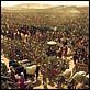 Alexander : photo Oliver Stone