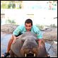 50 erste Dates : photo Adam Sandler