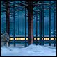 Der Polarexpress