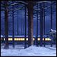 Der Polarexpress