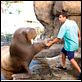 50 erste Dates : photo Adam Sandler, Peter Segal