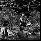 Kakushi toride no san akunin : photo Akira Kurosawa