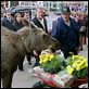 Willkommen in Mooseport