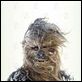 Das Imperium schlägt zurück : photo George Lucas, Irvin Kershner, Peter Mayhew