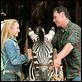 Im Rennstall ist das Zebra los! : photo Bruce Greenwood, Frederik Du Chau, Hayden Panettiere