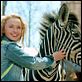 Im Rennstall ist das Zebra los! : photo Frederik Du Chau, Hayden Panettiere