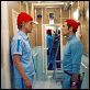 Die Tiefseetaucher : photo Owen Wilson, Wes Anderson, Willem Dafoe