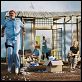 Die Tiefseetaucher : photo Bill Murray, Cate Blanchett, Wes Anderson
