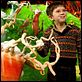 Charlie und die Schokoladenfabrik : photo Freddie Highmore, Tim Burton
