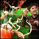 Charlie und die Schokoladenfabrik : photo Freddie Highmore, Tim Burton