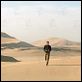 Der Flug des Phoenix : photo Dennis Quaid, John Moore