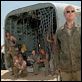 Der Flug des Phoenix : photo Dennis Quaid, Giovanni Ribisi, Hugh Laurie, Jacob Vargas, John Moore