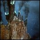 Aliens der Meere : photo James Cameron, Steven Quale