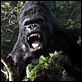 King Kong